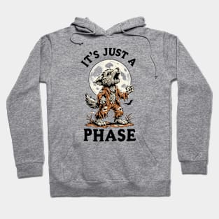 It's Just a Phase Hoodie